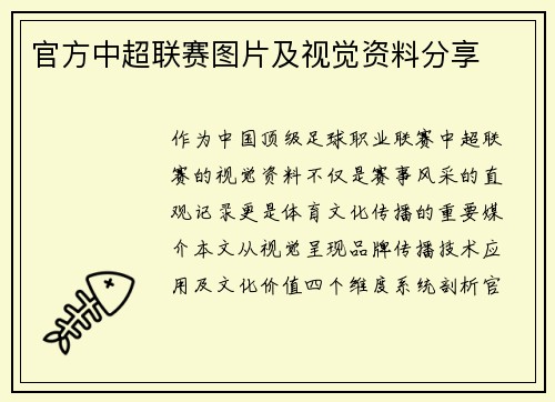 官方中超联赛图片及视觉资料分享